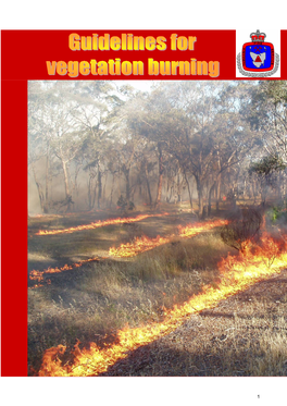 Vegetation Burning