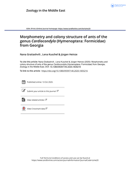 Morphometry and Colony Structure of Ants of the Genus Cardiocondyla (Hymenoptera: Formicidae) from Georgia
