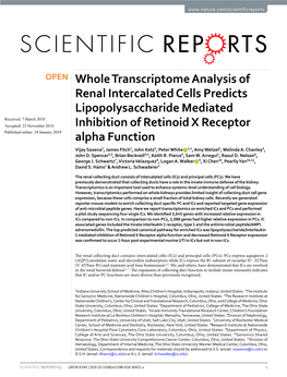 Whole Transcriptome Analysis of Renal Intercalated Cells Predicts