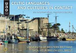 Celtic Languages and Cultures in Contact an International Master’S Degree