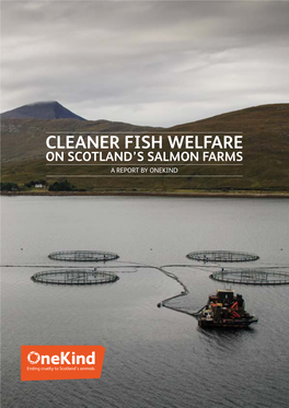 Cleaner Fish Welfare on Scotland's Salmon Farms