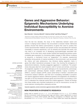 Genes and Aggressive Behavior: Epigenetic Mechanisms Underlying Individual Susceptibility to Aversive Environments