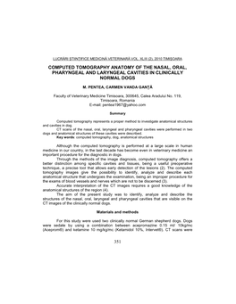 351 Computed Tomography Anatomy of the Nasal, Oral