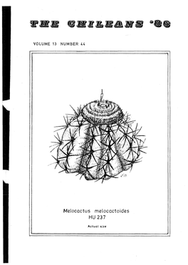 Melocactus Melocactoides HU 237