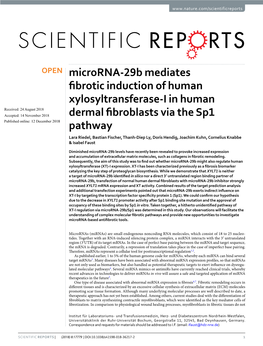 Microrna-29B Mediates Fibrotic Induction of Human