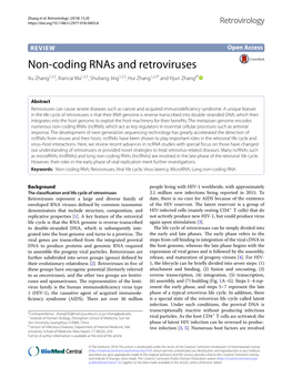 Non-Coding Rnas and Retroviruses