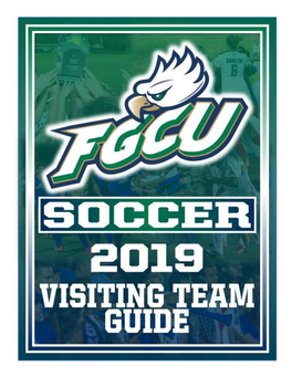 Visiting Team Guide Soccer 2