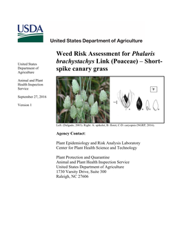Weed Risk Assessment for Phalaris Brachystachys Link (Poaceae)