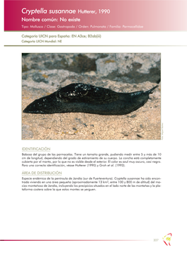 Cryptella Susannae Hutterer, 1990 Nombre Común: No Existe Tipo: Mollusca / Clase: Gastropoda / Orden: Pulmonata / Familia: Parmacellidae