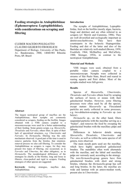 Feeding Strategies in Atalophlebiinae (Ephemeroptera: Leptophlebiidae