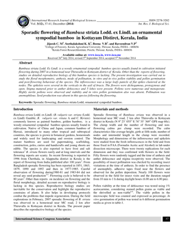 Sporadic Flowering of Bambusa Striata Lodd. Ex Lindl. an Ornamental Sympodial Bamboo in Kottayam Distirct, Kerala, India