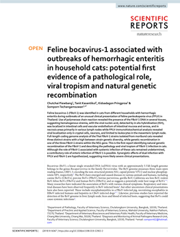 Feline Bocavirus-1 Associated with Outbreaks of Hemorrhagic Enteritis