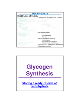 Glycogen Synthesis