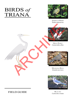 BIRDS of TRIANA