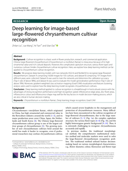 Deep Learning for Image-Based Large-Flowered Chrysanthemum