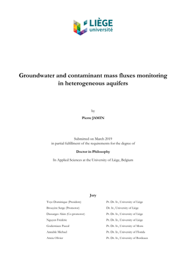 Groundwater and Contaminant Mass Fluxes Monitoring in Heterogeneous Aquifers