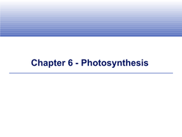 Chapter 6 - Photosynthesis Sunlight As an Energy Source