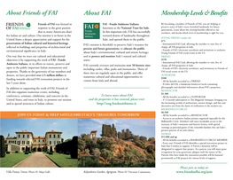 FFAI-Brochure