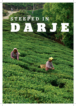 Steeped in Darje