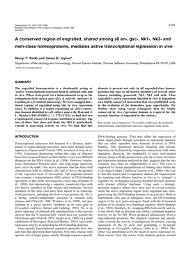 A Conserved Region of Engrailed, Shared Among All En-, Gsc-, Nk1-, Nk2- and Msh-Class Homeoproteins, Mediates Active Transcriptional Repression in Vivo