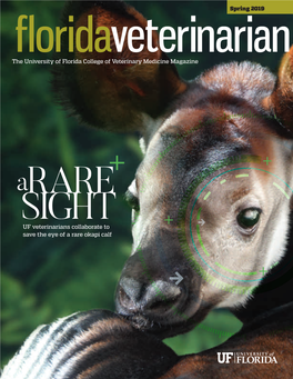 The University of Florida College of Veterinary Medicine Magazine UF