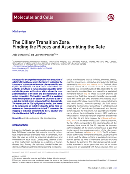 The Ciliary Transition Zone: Finding the Pieces and Assembling the Gate