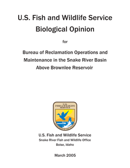 US Fish and Wildlife Service Biological Opinion