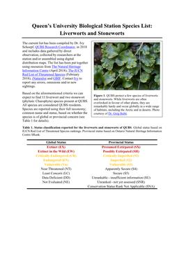 Liverworts and Stoneworts