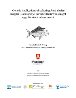 Genetic Implications of Culturing Australasian Snapper (Chrysophrys Auratus) from Wild-Caught Eggs for Stock Enhancement