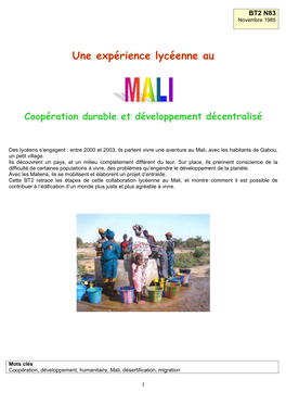 BT2 N83 Une Expérience Lycéenne Au Mali Document.Pdf