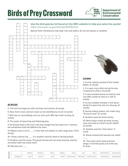 Birds of Prey Crossword