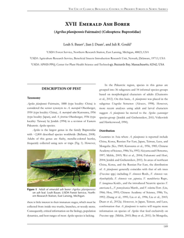 Emerald Ash Borer (Agrilus Planipennis Fairmaire) (Coleoptera: Buprestidae)