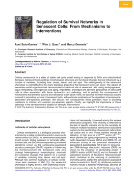 Regulation of Survival Networks in Senescent Cells: from Mechanisms to Interventions