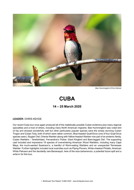 Cuba Tour Report 2020