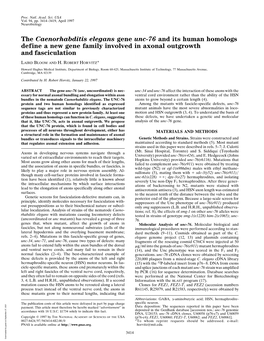 The Caenorhabditis Elegans Gene Unc-76 and Its Human Homologs Define a New Gene Family Involved in Axonal Outgrowth and Fasciculation