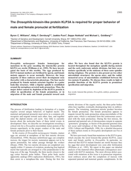 The Drosophila Kinesin-Like Protein KLP3A Is Required for Proper Behavior of Male and Female Pronuclei at Fertilization