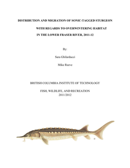 Distribution and Migration of Sonic-Tagged Sturgeon