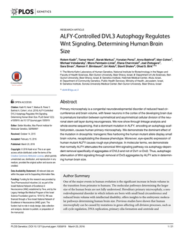 ALFY-Controlled DVL3 Autophagy Regulates Wnt Signaling, Determining Human Brain Size