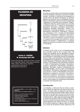 Filogenia De Hexapoda