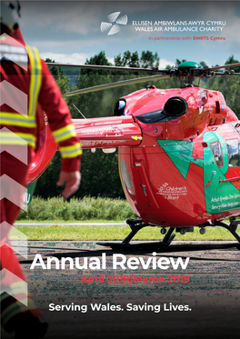 Annual Review April 2018/March 2019