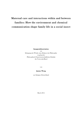 Maternal Care and Interactions Within and Between Families: How the Environment and Chemical Communication Shape Family Life in a Social Insect