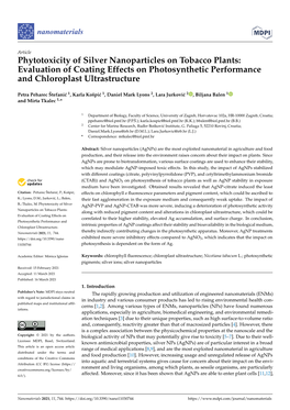 Phytotoxicity of Silver Nanoparticles on Tobacco Plants: Evaluation of Coating Effects on Photosynthetic Performance and Chloroplast Ultrastructure