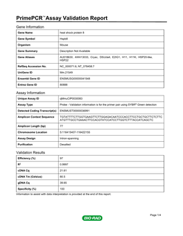 Primepcr™Assay Validation Report