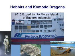 Hobbits and Komodo Dragons