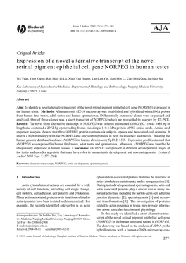 Expression of a Novel Alternative Transcript of the Novel Retinal Pigment Epithelial Cell Gene NORPEG in Human Testes