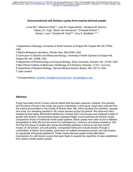 Unconventional Cell Division Cycles from Marine-Derived Yeasts