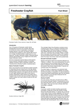 Freshwater Crayfish Fact Sheet