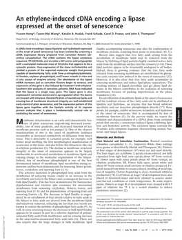 An Ethylene-Induced Cdna Encoding a Lipase Expressed at the Onset of Senescence