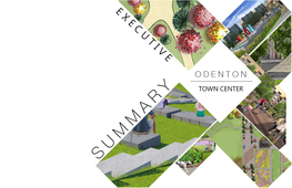 Odenton Town Center Park Design