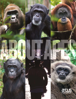 Great Apes, Elephants, Pandas, Canids and Other Research Studies